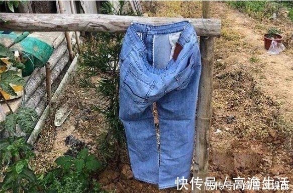 花盆|他用这东西养花,把半夜踩点的小偷吓半死,长势旺到不行!