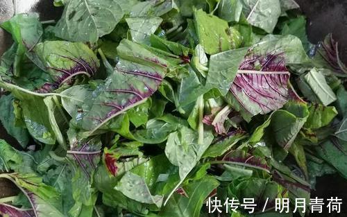 控制体重|女性夏天常吃这菜,2块钱买一大把,控制体重,还能够润肠通便