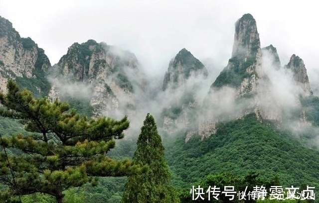 陶渊明@辛弃疾的这首词,句句引经据典,其中一句,堪称神来之笔