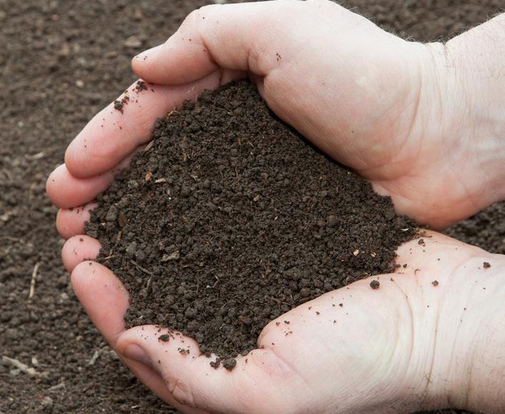 多肉配土这样做,简单省事又好用