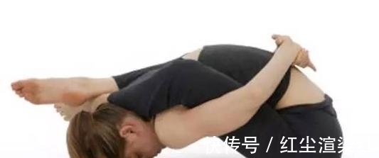 伸展式|阿斯汤加初级序列中的几座大山,你都翻过去了吗?