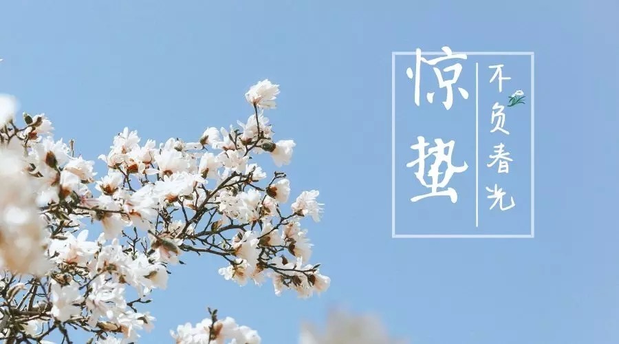 28首惊蛰诗词,惊醒最美春天
