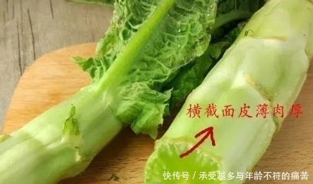 莴笋和莴苣有什么区别，很多人不知道，看完以后就懂了