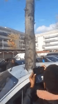 |搞笑GIF:妹子 你这套衣服不错 是你自己做的吧