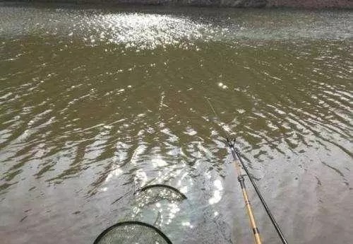 知道这些子线缠绕的原因,下次你的线组就不会裹缠到一起了