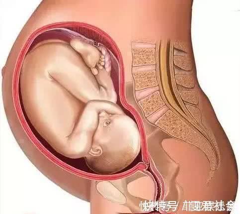 下腹部|孕晚期,孕妇有几种感受,说明胎儿已顺利入盆,附胎儿入盆图解
