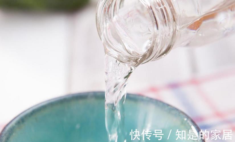 浇灌|啤酒水、淘米水、白醋水养绿萝,该怎么用,防治黄叶、精神萎靡