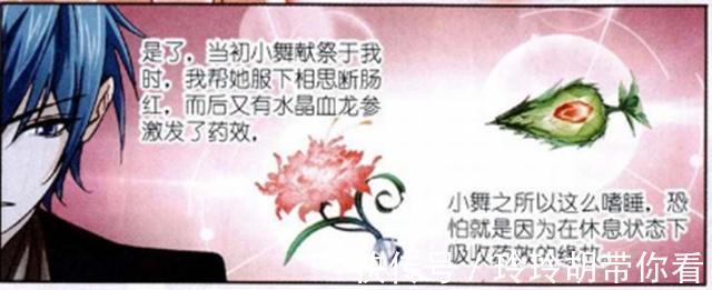 发展潜力|斗罗大陆:从闯“海神之光”的表现看发展潜力,小舞潜力比唐三大