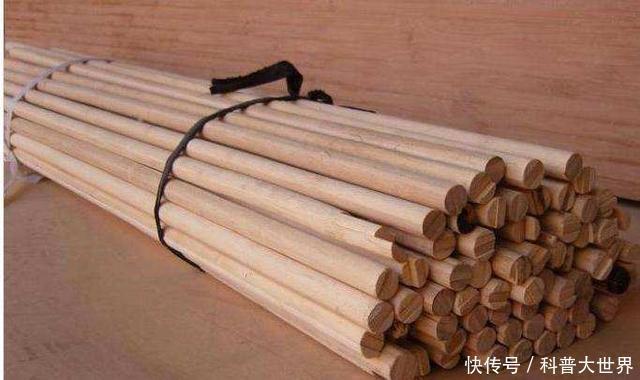 常用|竹子都是空心吗其实也有实心竹熊猫最爱吃它,生活中也常用到