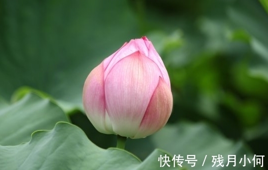 生活质量|12月下旬，桃花旺盛，4属相喜事进门，生活顺心，家庭和谐