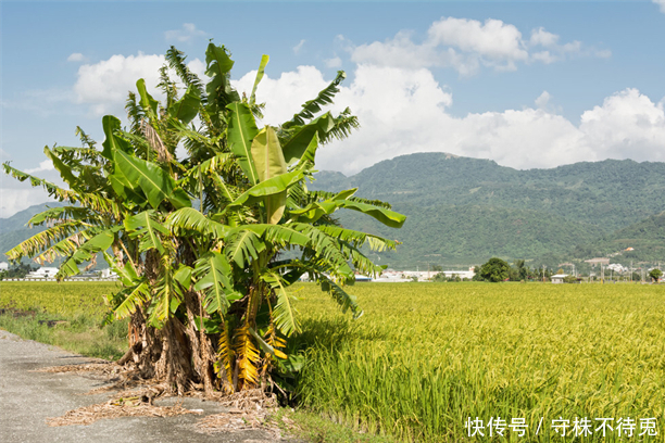 月圆之夜|17个冷知识:无处使用所以很少出现,一般不大可能知晓的猎奇知识
