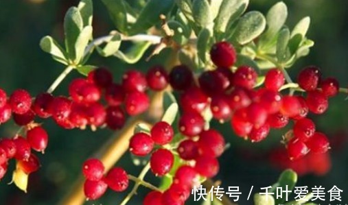 菠菜|爱美女性要多吃4种食物,润肤养颜、排毒消脂,预防子宫早衰