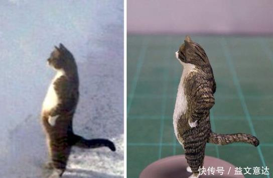 日本|日本小哥做恶搞手办,两脚走路猫太魔性,看到站立猫网友笑出声