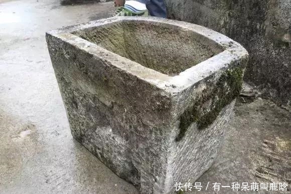 邻居捡破烂养花，全家都反对，栽上花后都笑了！