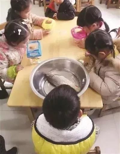 幼儿园老师要求带春笋，这位男孩带了根这样的，同学：是在下输了