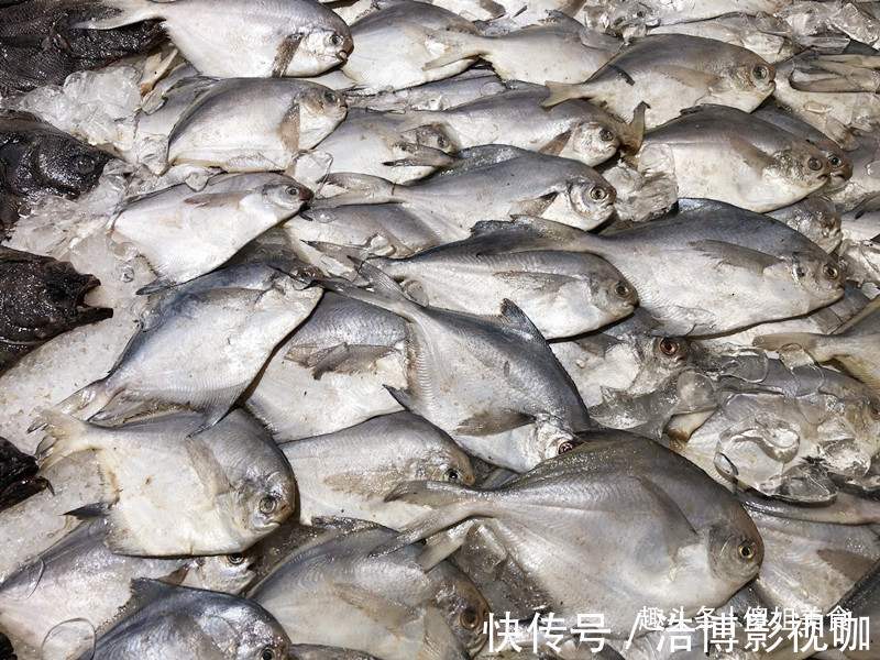 想吃鱼，就买此6种，目前无法人工养殖，都是野生鱼，放心吃吧
