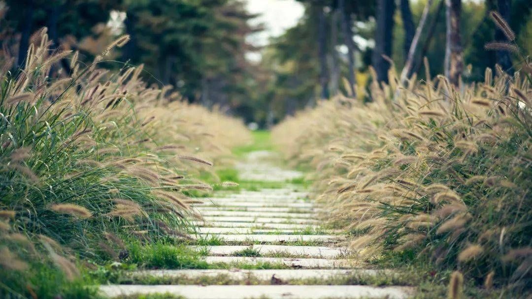 一屋两人三餐四季，就想和你过这样的小日子
