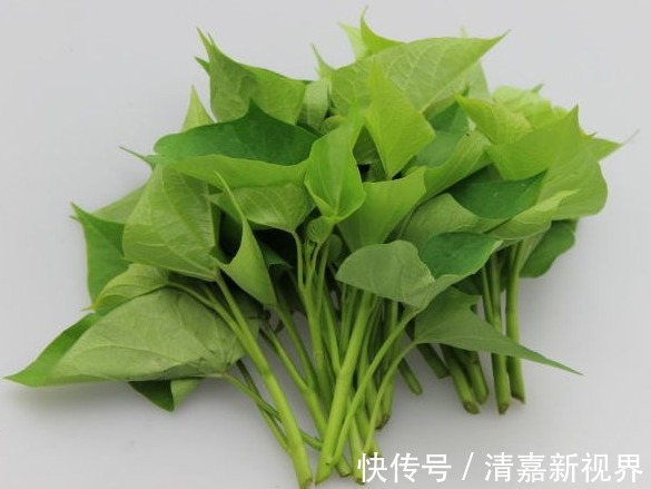 血脂|夏天多吃以下几种野菜，可降血压血脂、活血化瘀、益气强心