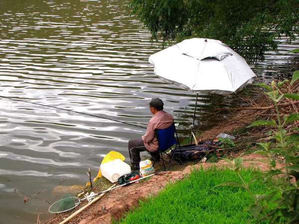 刮风|钓鱼和刮风有什么联系能回答这三个问题,说明你钓鱼有些年头了