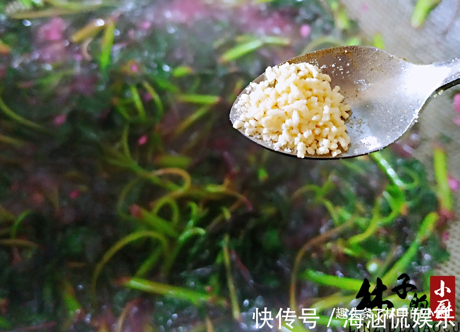 粉绿色|此菜吃一次,就等于给肠道做次大扫除,营养好吃,做法特简单
