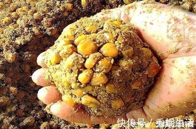 钓鱼警惕渔具“拾荒者”,小心再给你来个顺手牵羊!