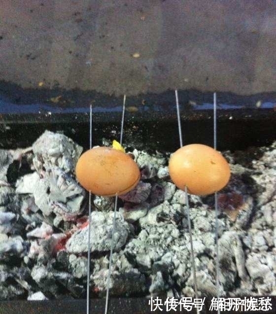 美味|原来鸡蛋还可以这么吃!实在是太赞了,超级美味。