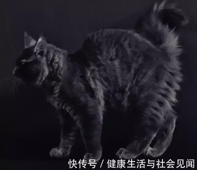 康复|疫情下，肿瘤康复期患者应该怎么吃？如何进行康复训练？