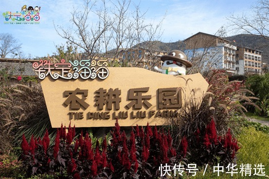 到底发生了什么，让范丞丞直呼 “温州铁定溜溜太可怕了”?!