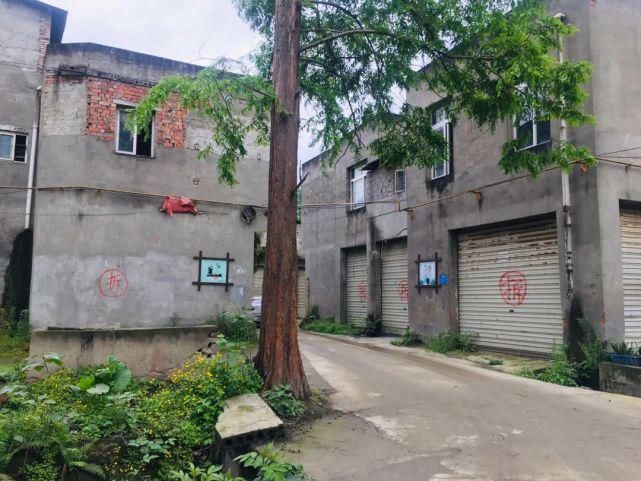 居住区|大丰这个区域将是城北高端居住区？很有可能！