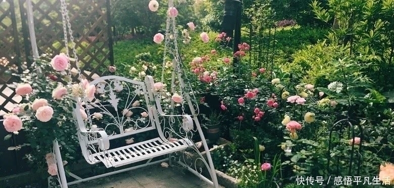 吧台|她取消客厅三件套老气摆放,室内通透大气,美而不艳,传遍整小区