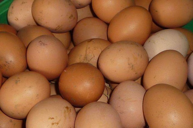 肾脏病|鸡蛋并不是人人都可以吃的,特别是5种患病人群,只会加重病情