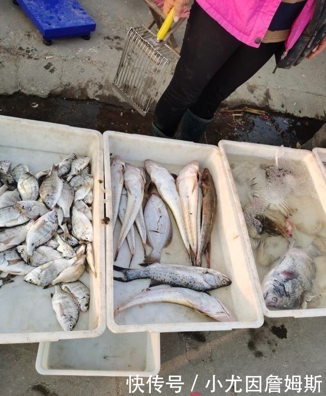 生活|这个胶东沿海小渔村,最适合美食家生活,想吃啥海鲜都有