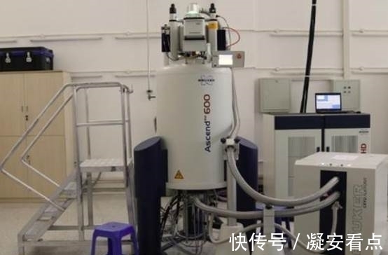 布鲁克|比芯片垄断更加彻底,德国科技巨头垄断九成,中国模仿都造不出