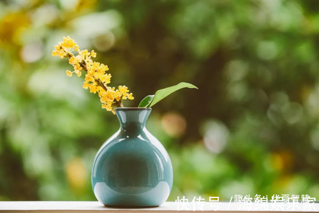 分寸#有一种清闲,就是不多管别人的闲事,为人处世,大小分寸掌握好