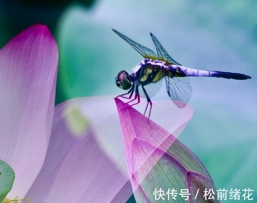 富贵盈门|7月底，吉星高照，4属相迎横财，惊喜连连，大吉大利，富贵盈门