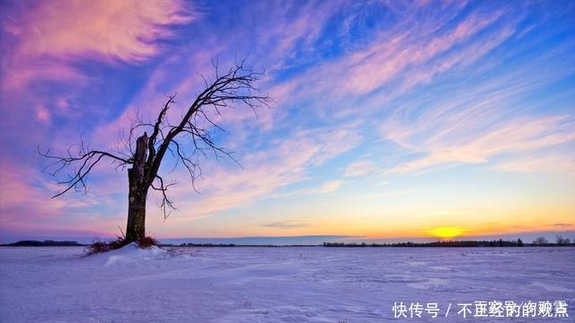 春之绚烂，夏之繁盛，秋之斑斓，冬之纯净