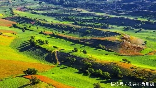 新疆风景｜江布拉克——随便打开一张都是电脑桌面