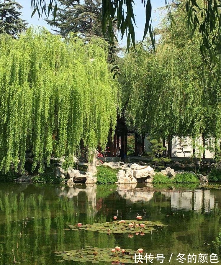 柳黄!诗:早春十首