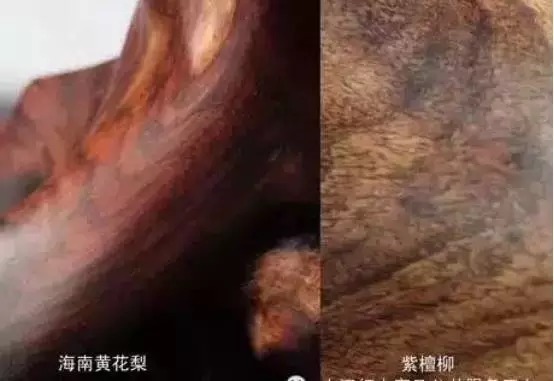不止|冒充海黄的玩意儿,可不止紫檀柳!