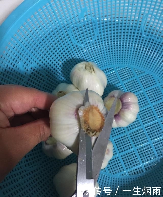 多汁|水晶糖蒜,酸酸甜甜脆爽多汁,在家做防腐是重点,细节决定成败