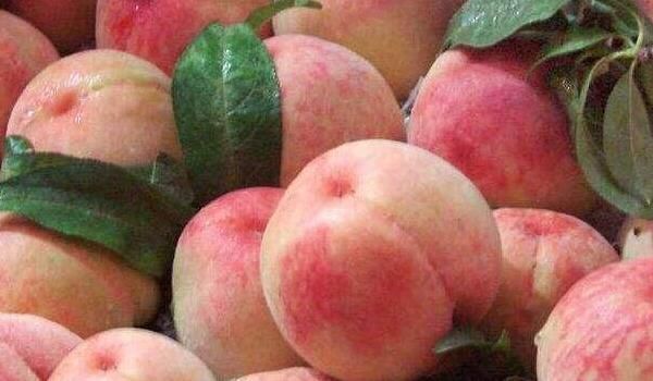 谨记|每天吃一个桃子好处多,但是吃桃子时,要谨记这4个禁忌