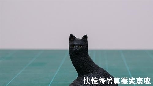 小猫|全球的猫都想屏蔽这个日本人，他到底做了多少沙雕手办？