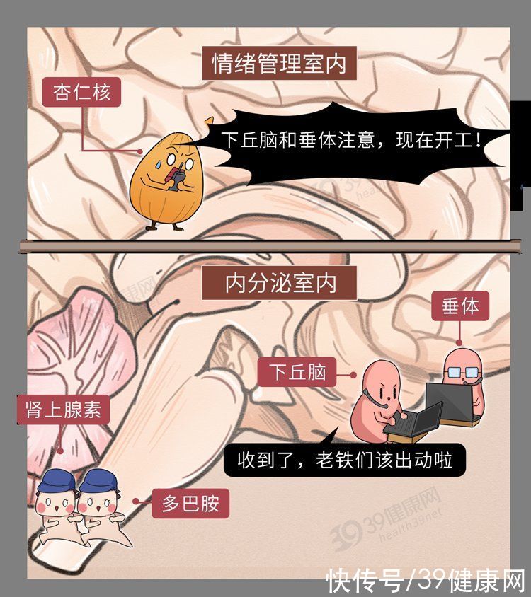 杏仁核|这些病都是被“气”出来的！看完这6大危害，别生气，气病没人替