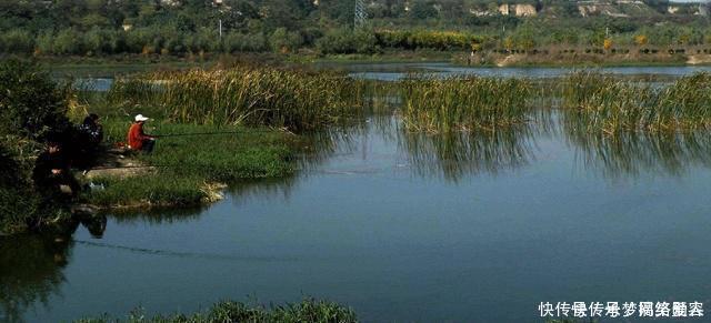 小伙|农村小伙钓鱼就是狠，这样打窝，钓鱼钓到手发软