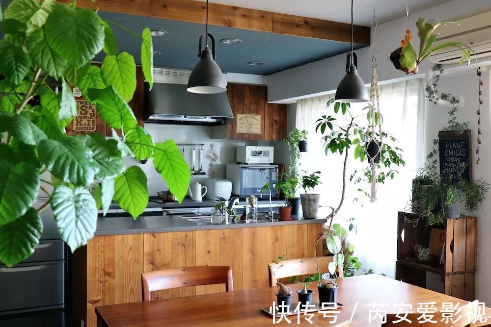 阳台上|5个位置,不能养花,养一盆死一盆,看看你中招没有