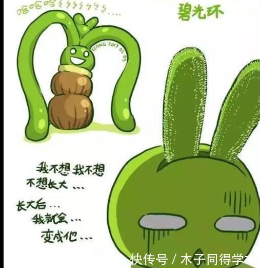 你见过最萌的植物都长什么样，此几种萌得不得了，快瞧瞧吧