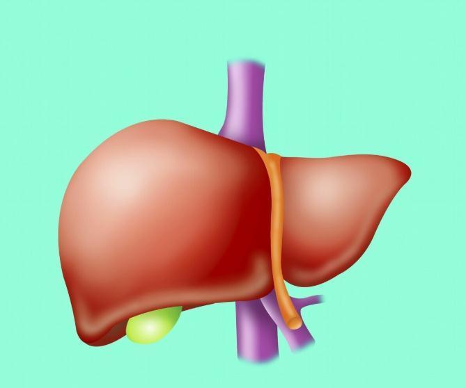 三镜|中医常说观3镜,知全身!屁为脾之镜,胁为肝之镜,踵为肾之镜