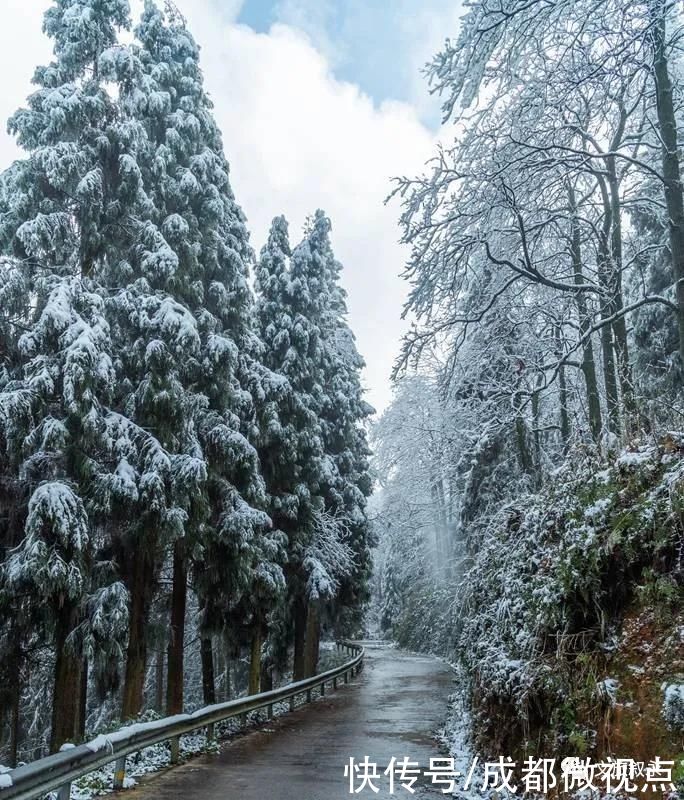 林海雪原|想看“林海雪原”，不用去东北，叙永就有