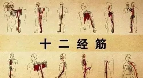 黄帝内经|筋柔百病消!学会这招拉筋术70岁像50岁的人,益寿延年、百病不沾
