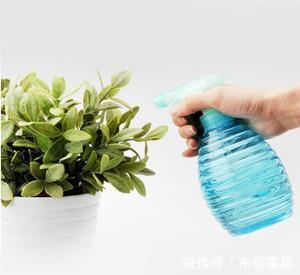 到底|这么多的养花技巧,到底哪个能用